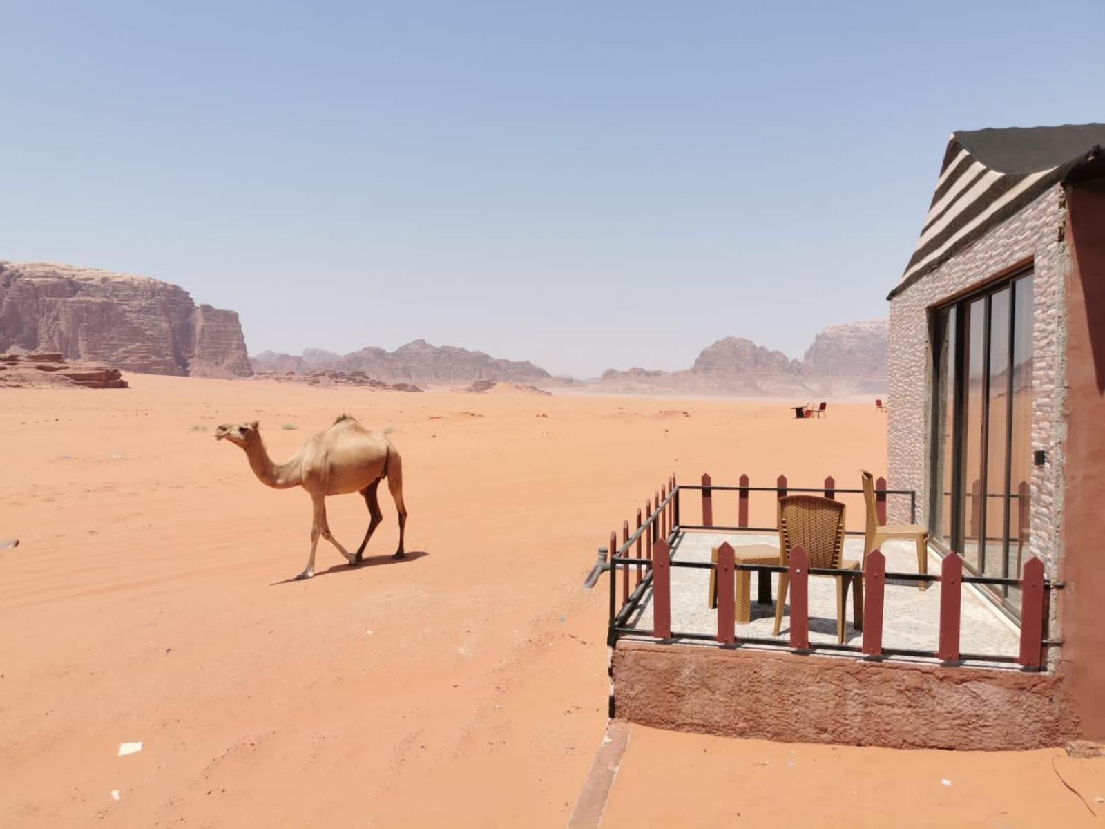 Magic Bedouin Star Hotel Wadi Rum Ngoại thất bức ảnh